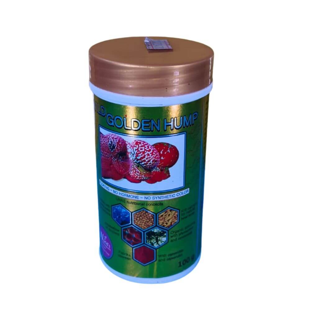 Golden Hump Flowerkhan Fish Food