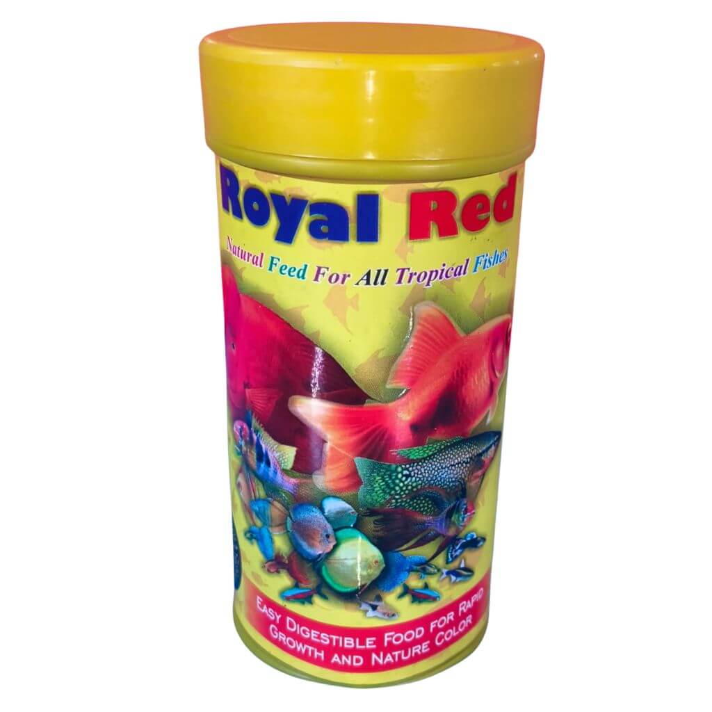 Royal Red Parrot Fish Food