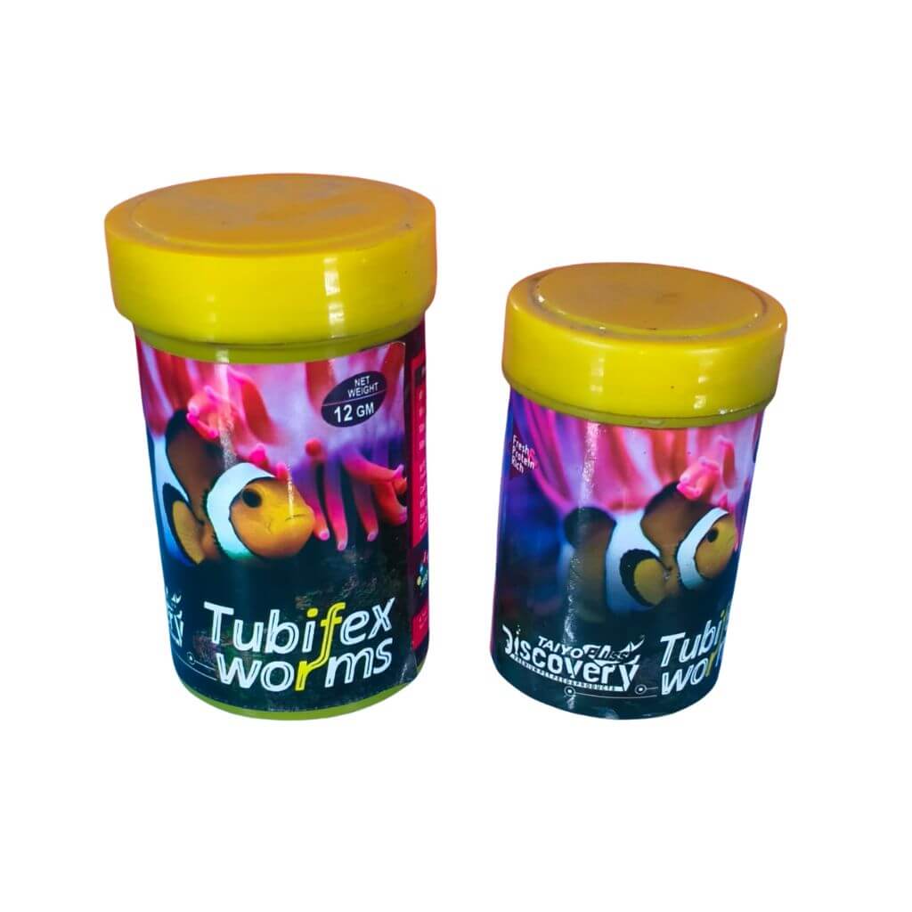 Tubifex Worms